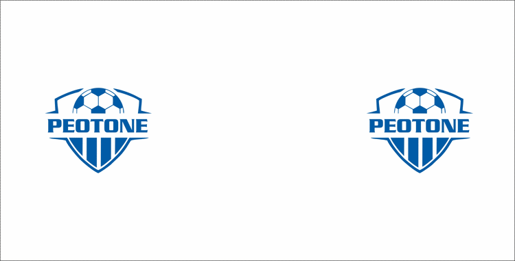 Peotone Soccer 2022